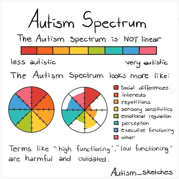 Autism spectrum diagram